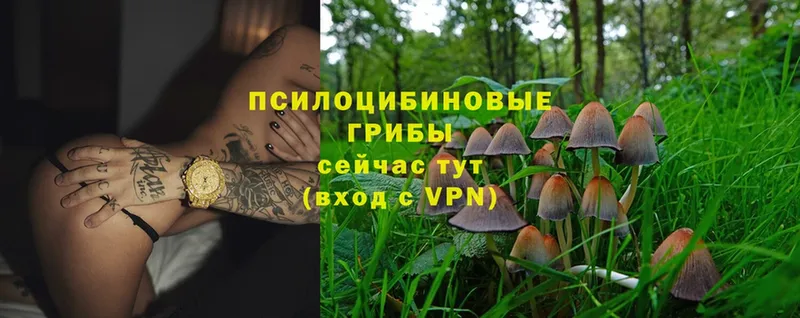 Галлюциногенные грибы MAGIC MUSHROOMS  Чехов 